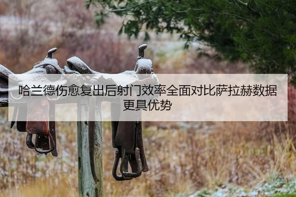 哈兰德伤愈复出后射门效率全面对比萨拉赫数据更具优势
